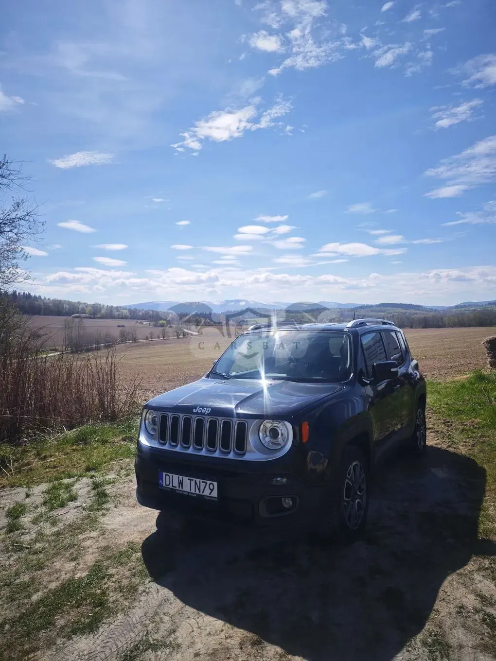 Jeep Renegade 1.4 MultiAir Limited FWD S&S 2015