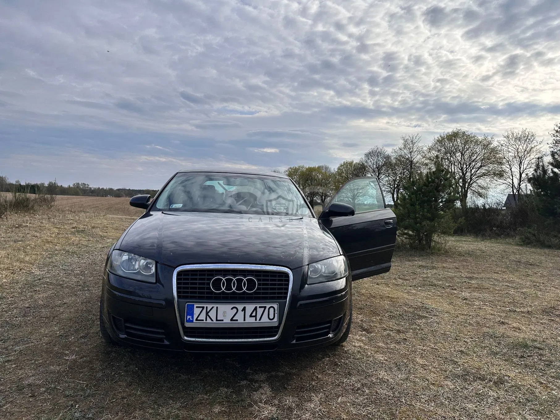 Audi A3 8P 1.9 TDI DPF e 2007