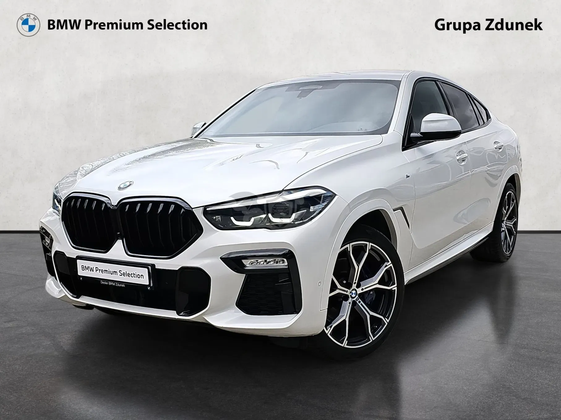 BMW X6 G06 2021