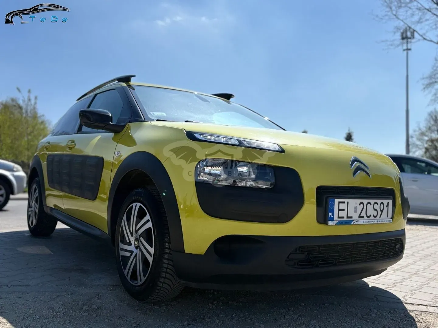 Citroën C4 Cactus 1.2 PureTech GPF Shine S&S 2017
