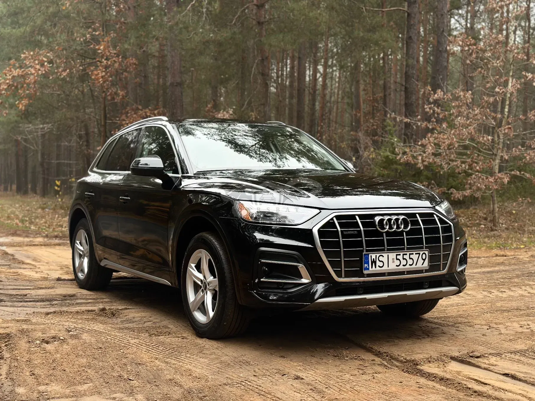 Audi Q5 FY 45 TFSI quattro S tronic 2021