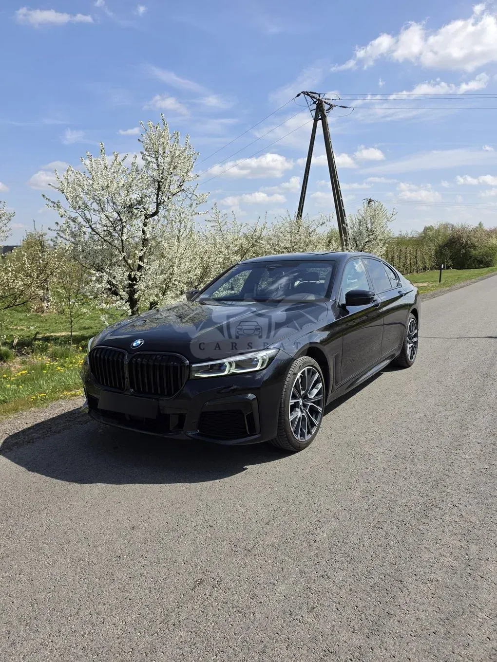BMW 7 Series G11/12 750d xDrive sport 2019