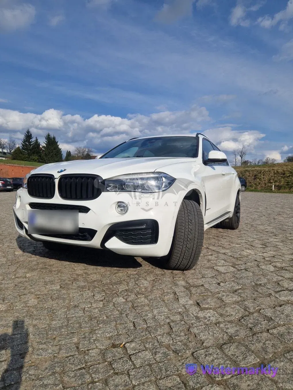 BMW X6 F16 xDrive30d 2017