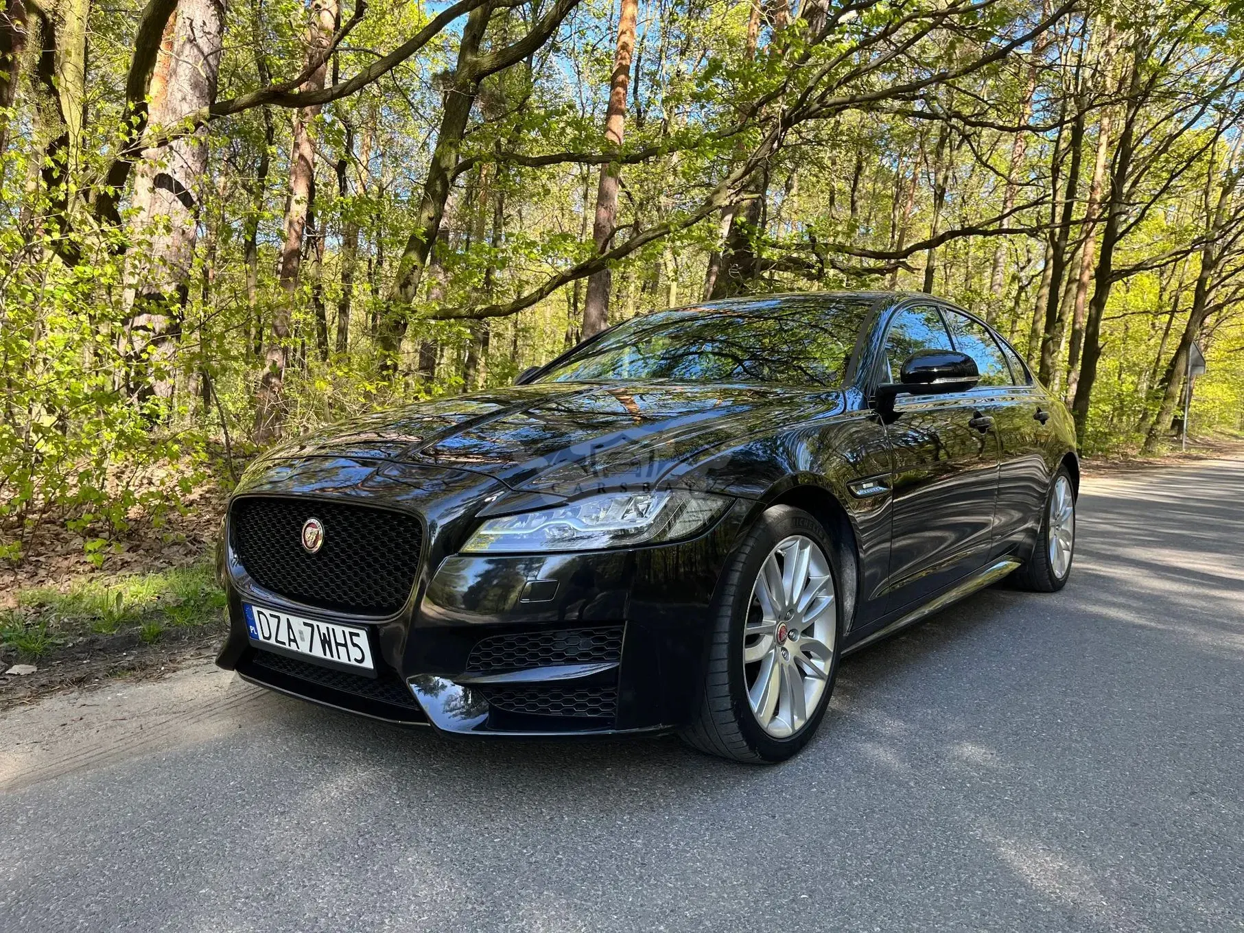 Jaguar XF X260 20d AWD R-Sport 2017