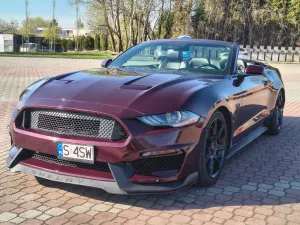 Ford Mustang 5.0 Ti-VCT V8 GT 2018