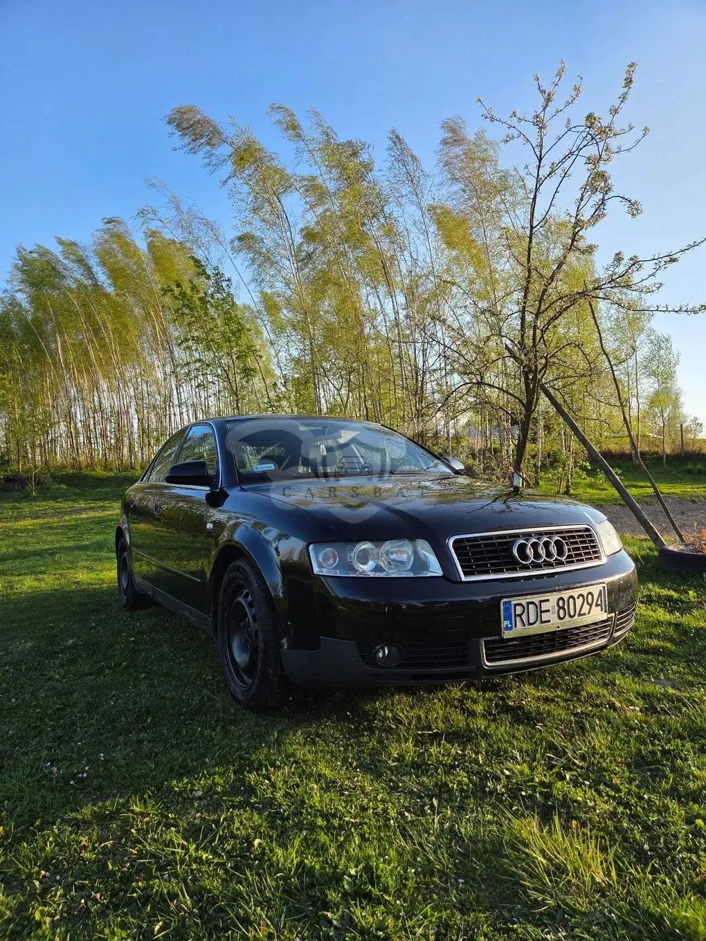 Audi A4 B6 1.9 TDI 2001