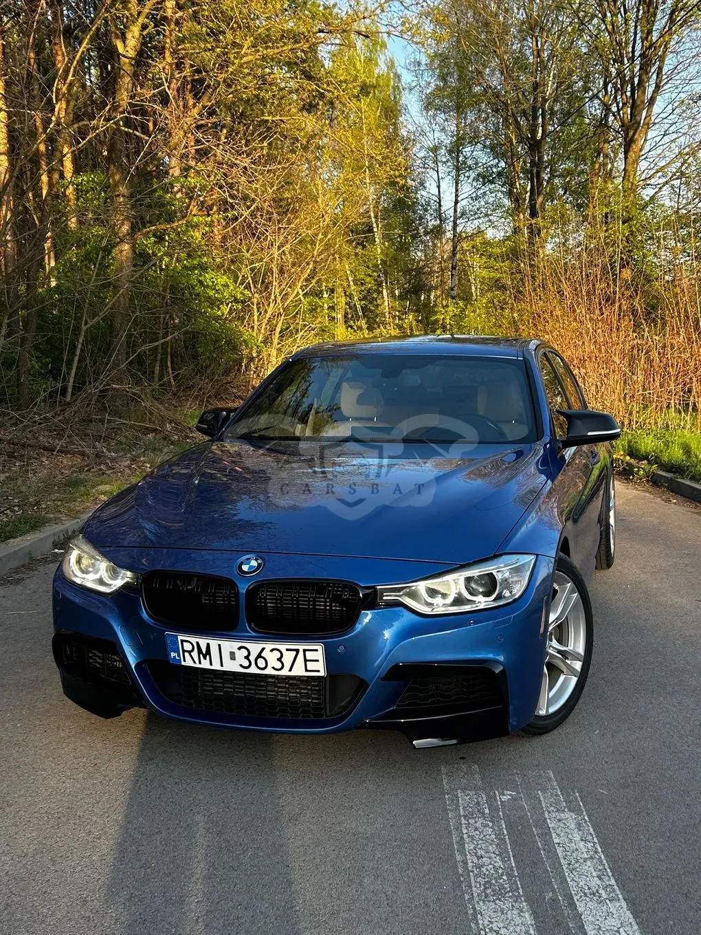 BMW 3 Series F30/F31 335i xDrive Edition Sport 2012