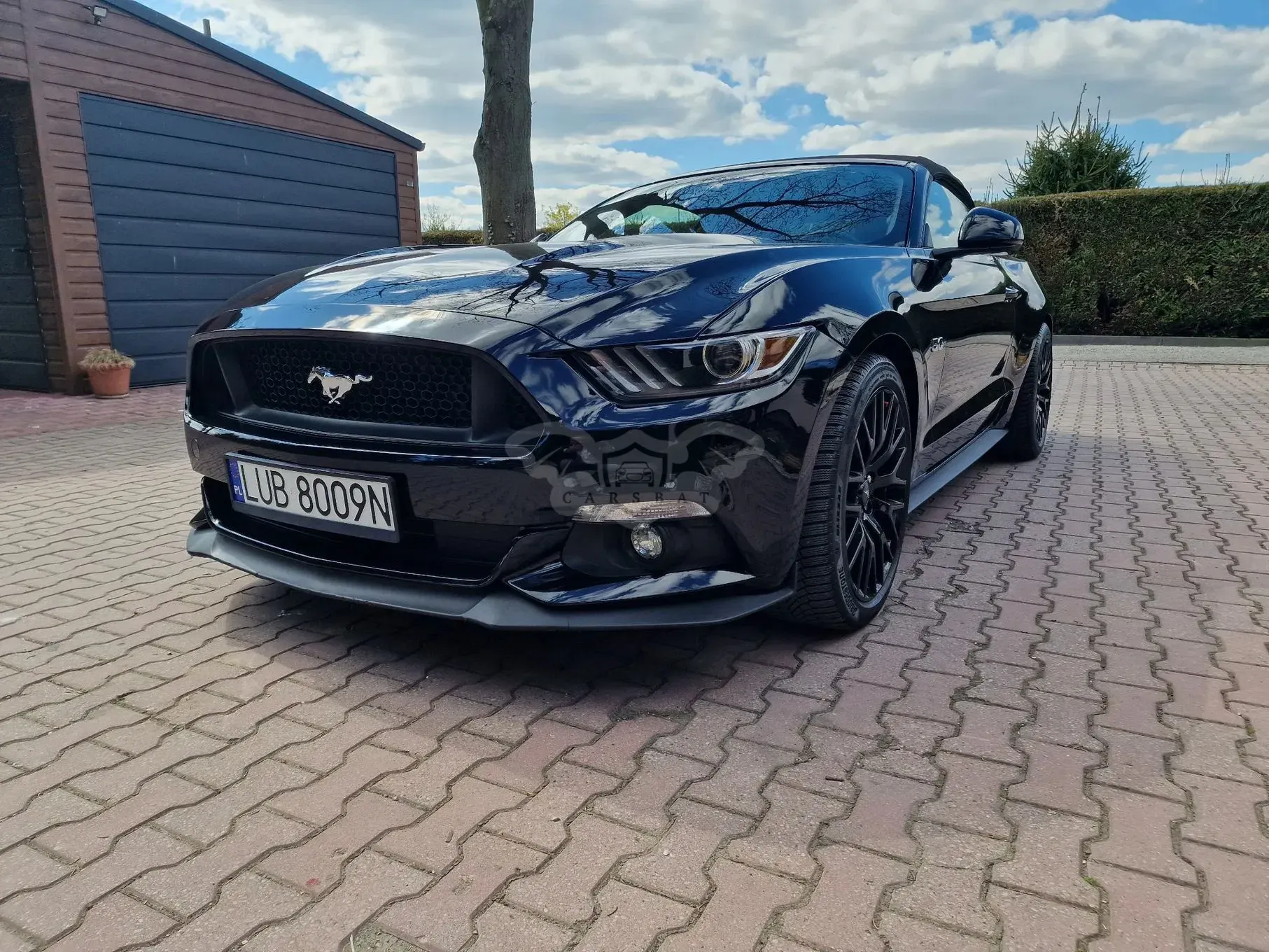Ford Mustang Cabrio 5.0 Ti-VCT V8 GT 2017