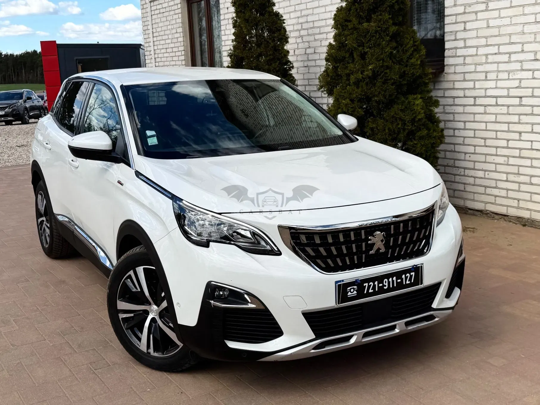 Peugeot 3008 II 2019