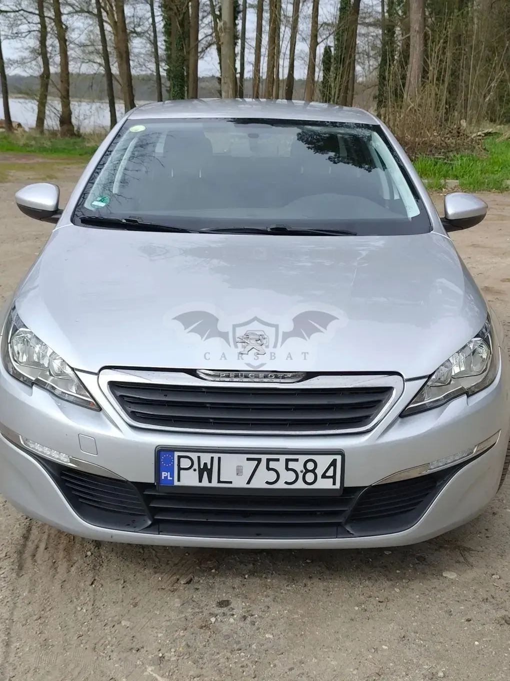 Peugeot 308 T9 BlueHDi 120 Stop & Start Active 2014