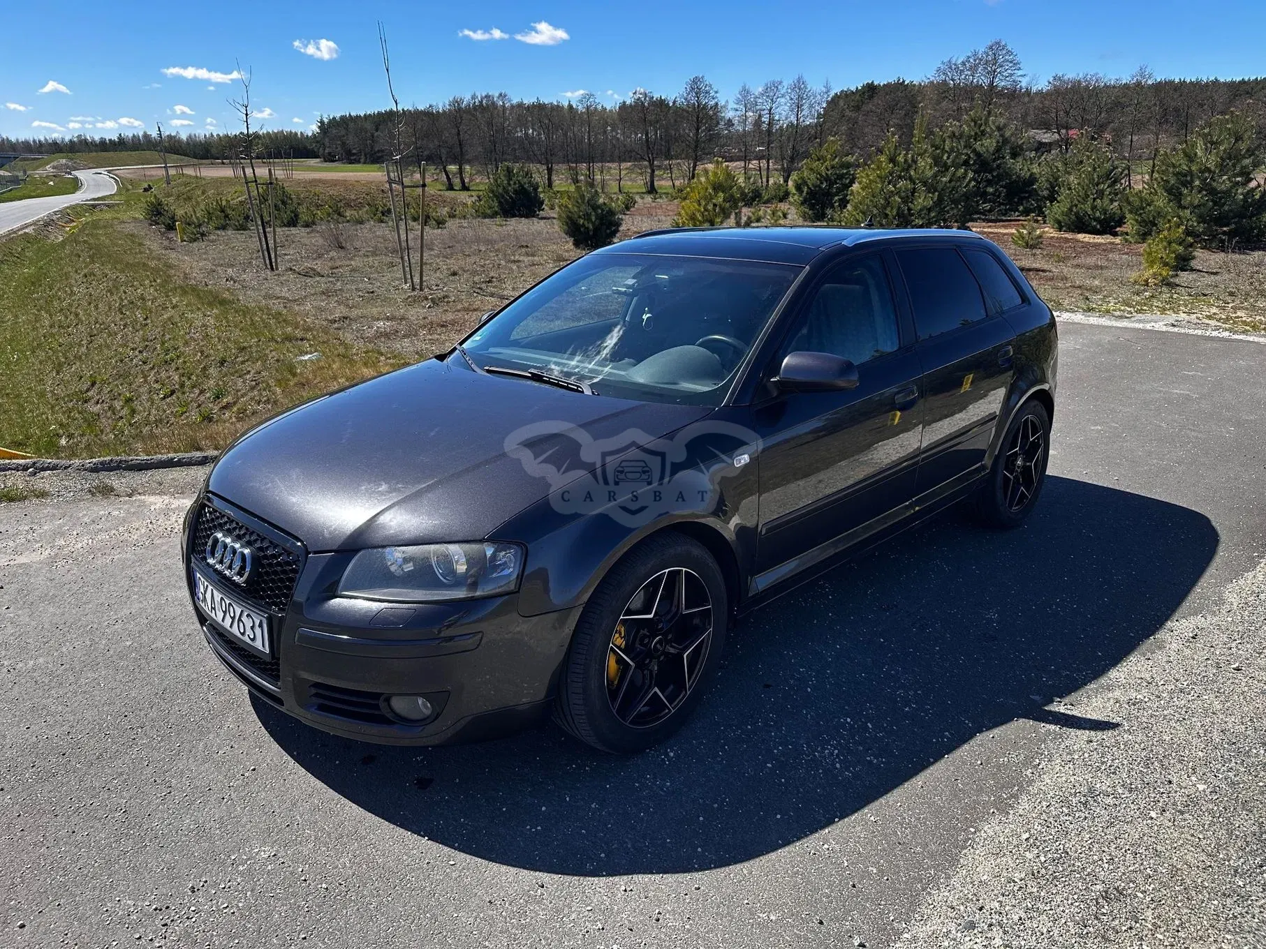 Audi A3 8P 2.0 TDI DPF (DSG) S tronic Ambiente 2006