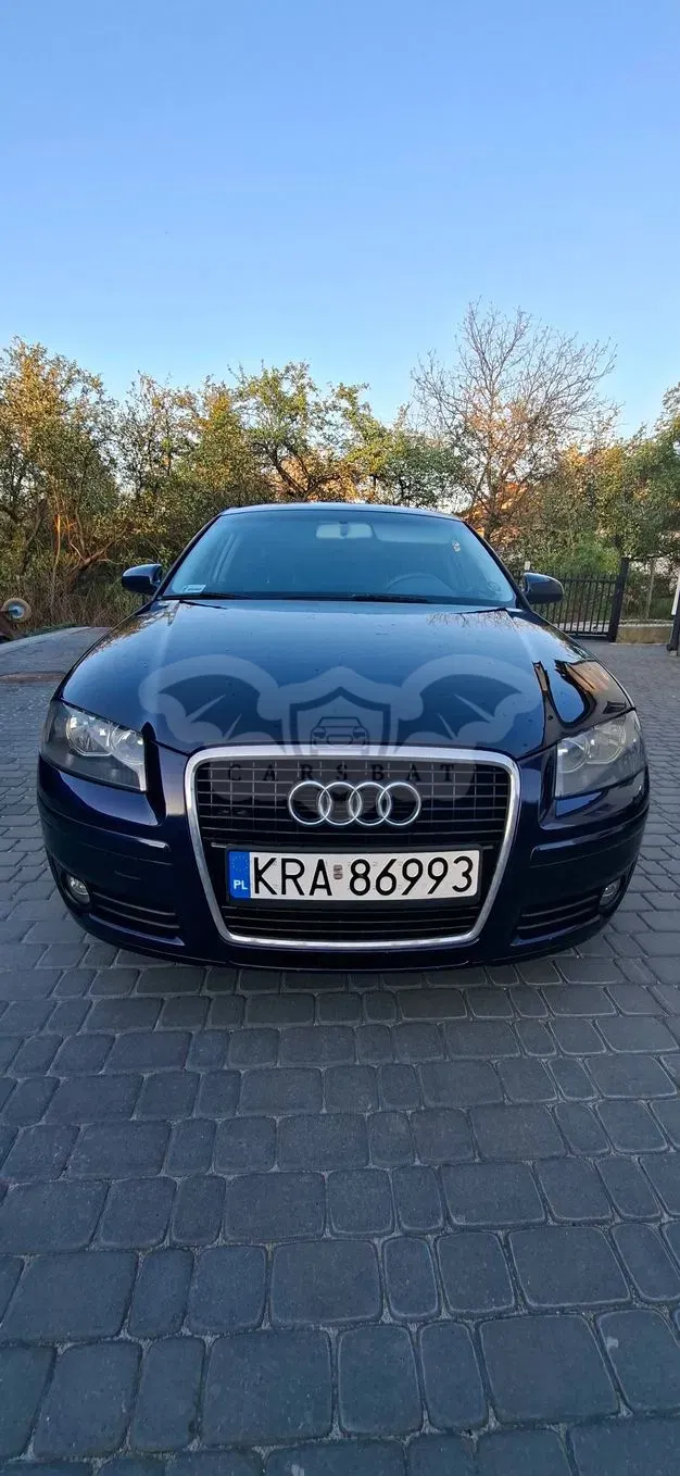 Audi A3 8P 2.0 TDI Attraction 2005