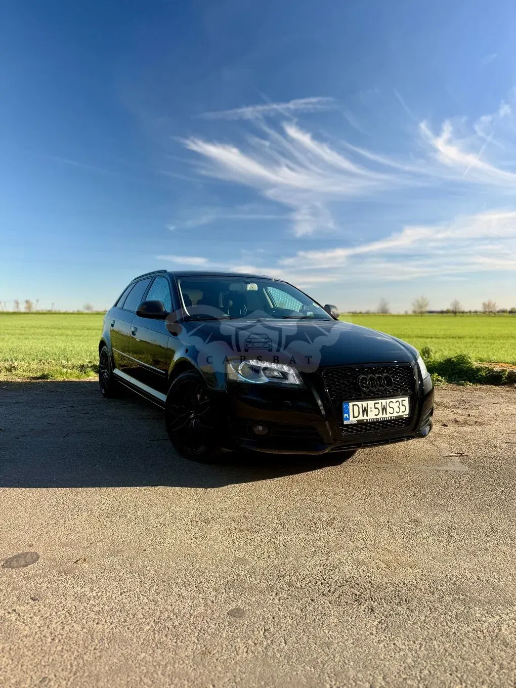 Audi A3 8P 2.0 TDI DPF Attraction 2009