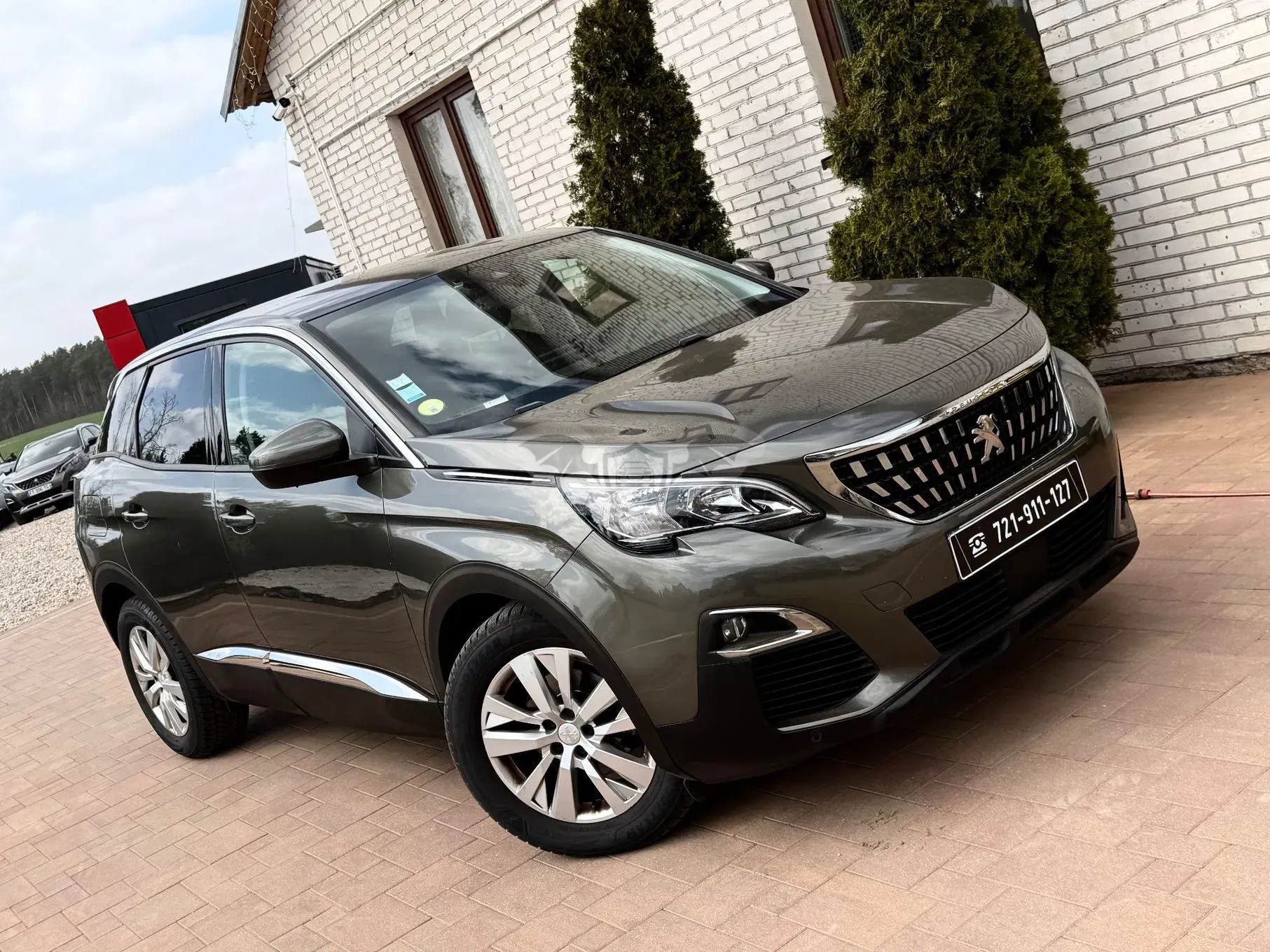 Peugeot 3008 II 2019