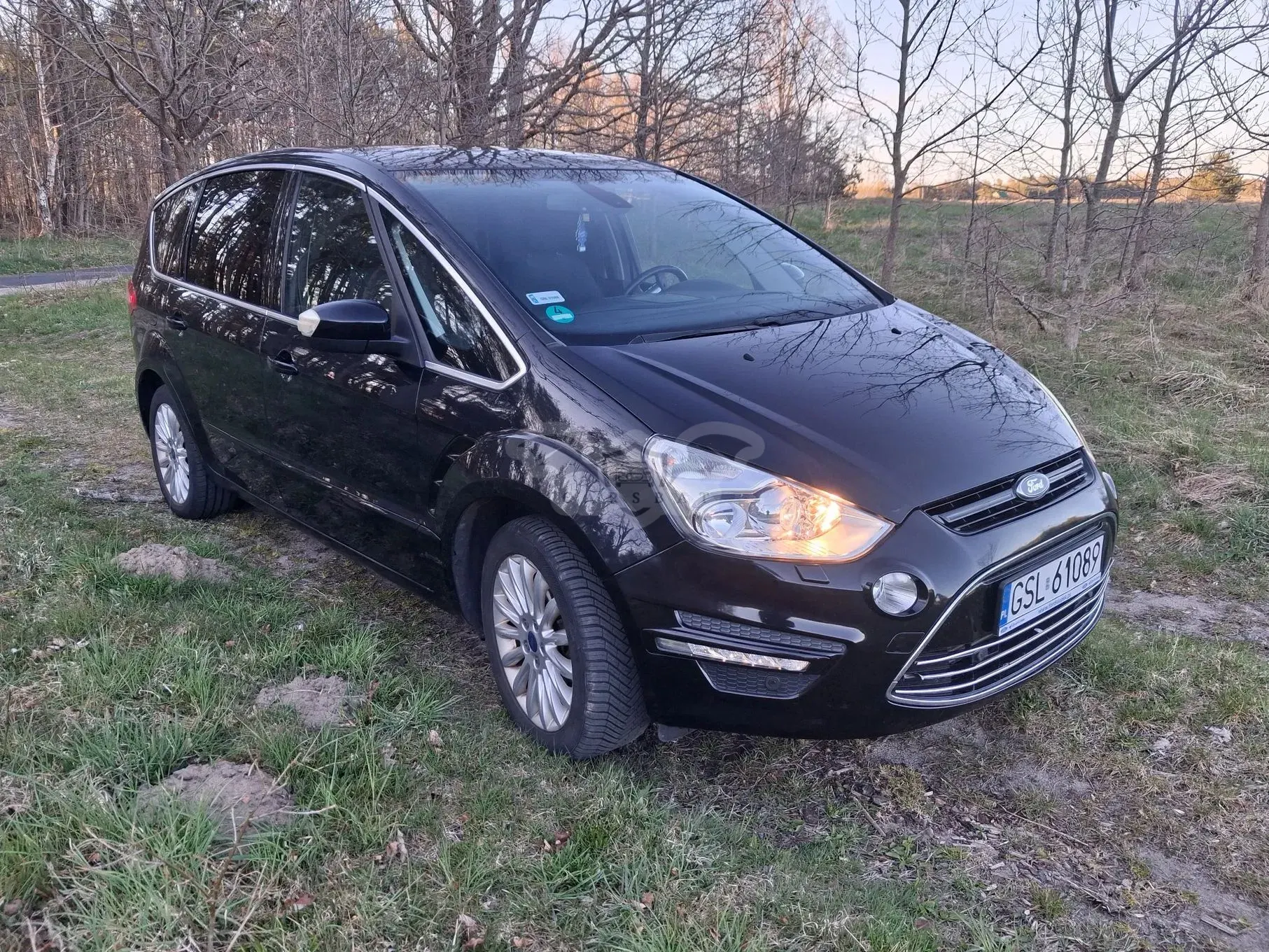 Ford S-Max I 2.0 TDCi DPF Titanium 2012
