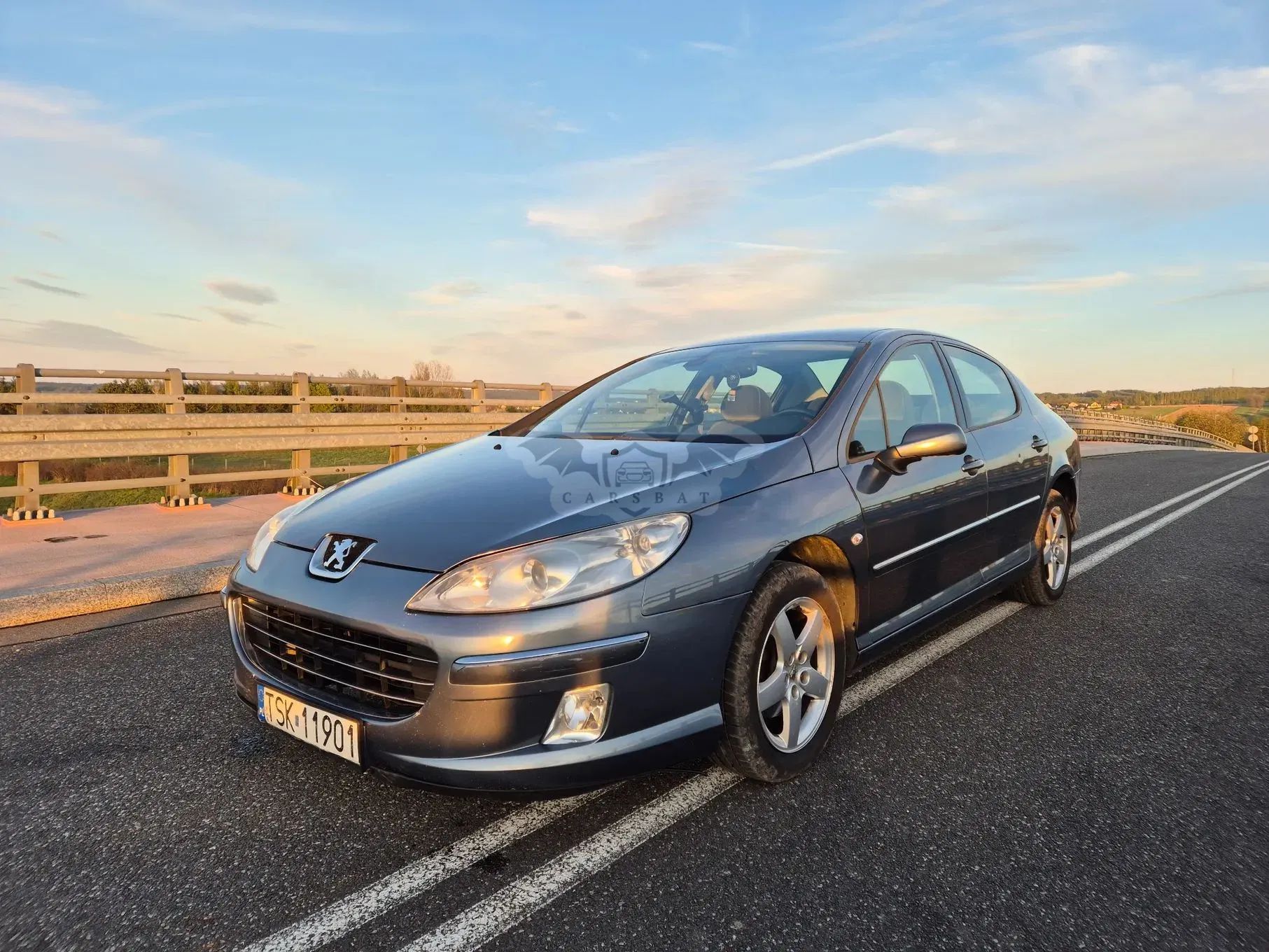 Peugeot 407 2008