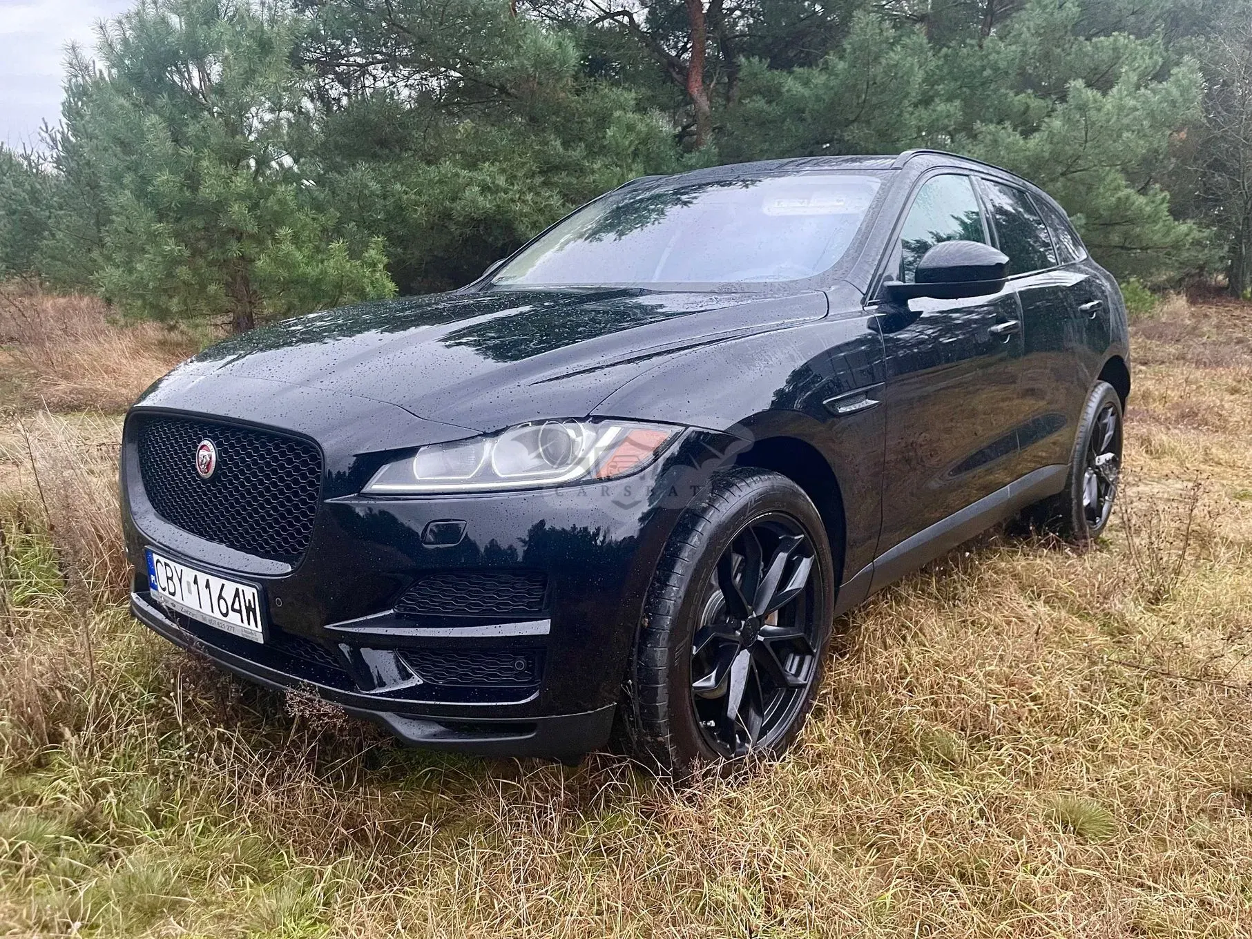 Jaguar F-Pace S AWD 2017
