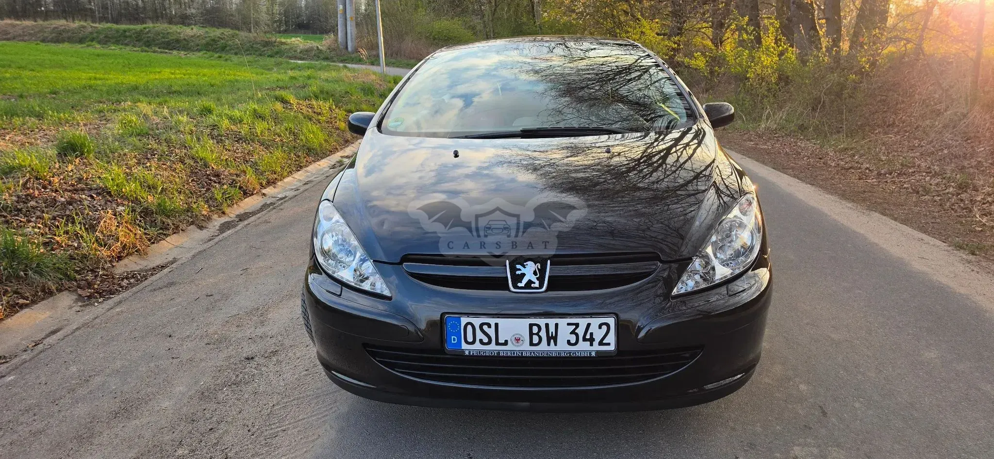 Peugeot 307 140 Tendance 2005