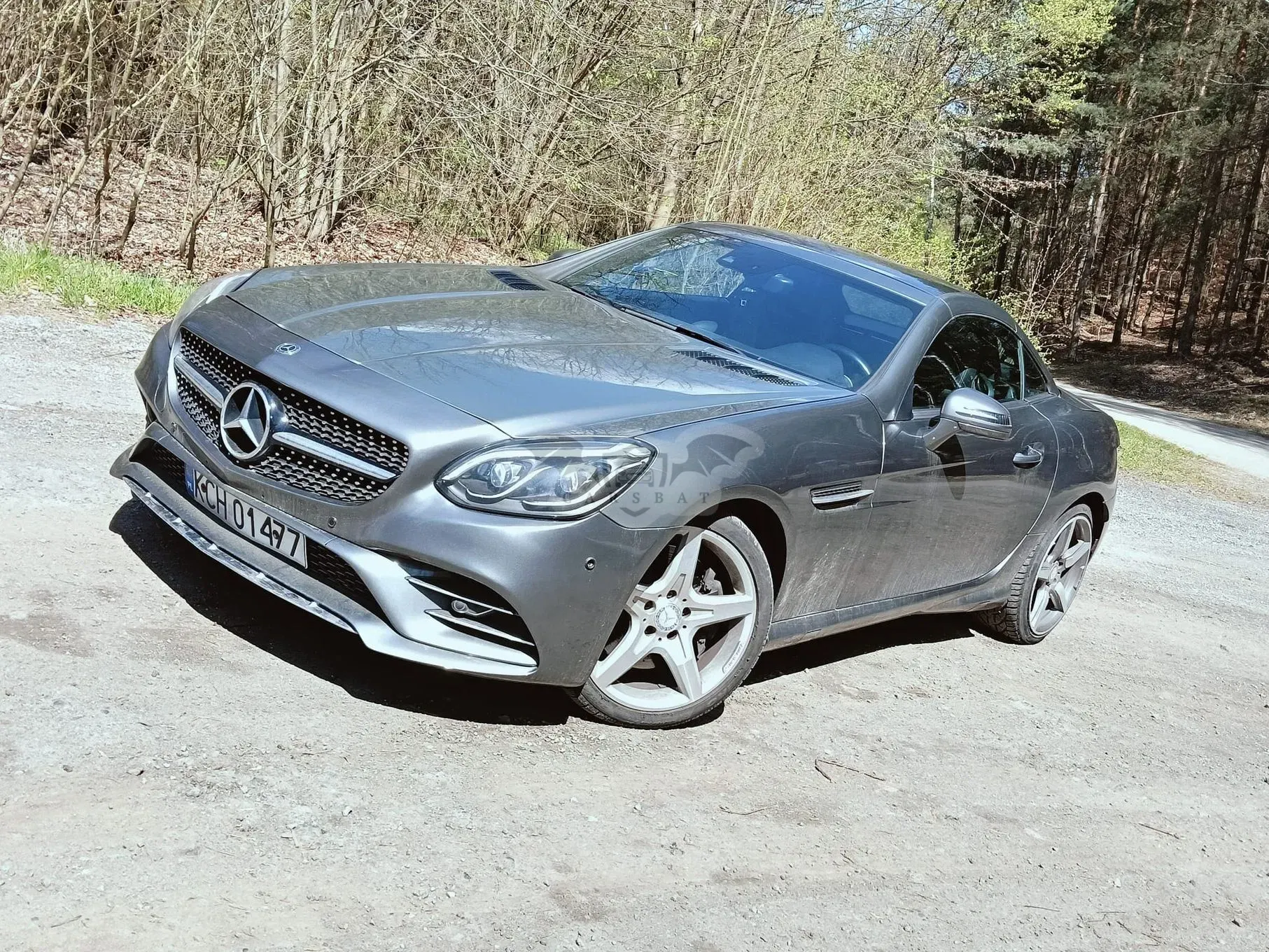 Mercedes-Benz SLK R172 250 CGI 2016