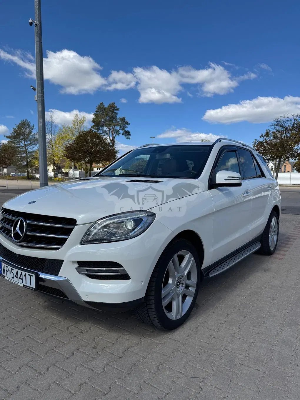 Mercedes-Benz ML W166 350 4MATIC BlueEFFICIENCY 7G-TRONIC Edition 1 2014