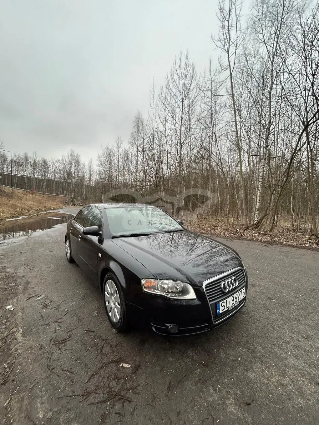 Audi A4 B7 2.0 TDI DPF 2006