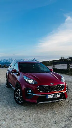 Kia Sportage IV 1.6 CRDI MHEV L Business Line 4WD 2020