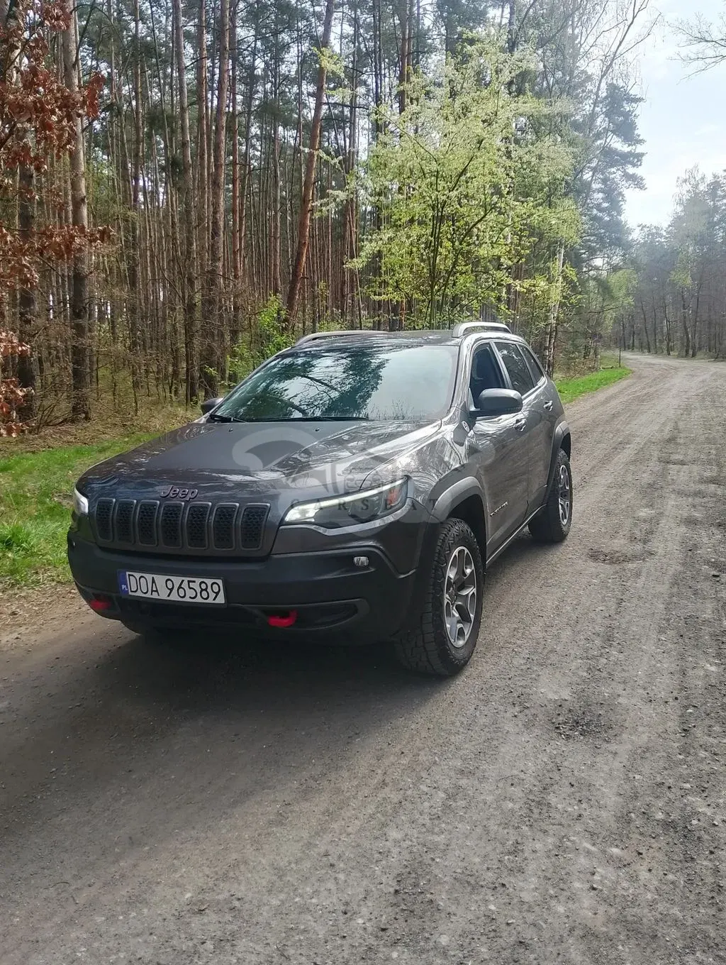 Jeep Cherokee V 3.2 V6 Pentastar Active Drive Lock Autom Trailhawk 2021