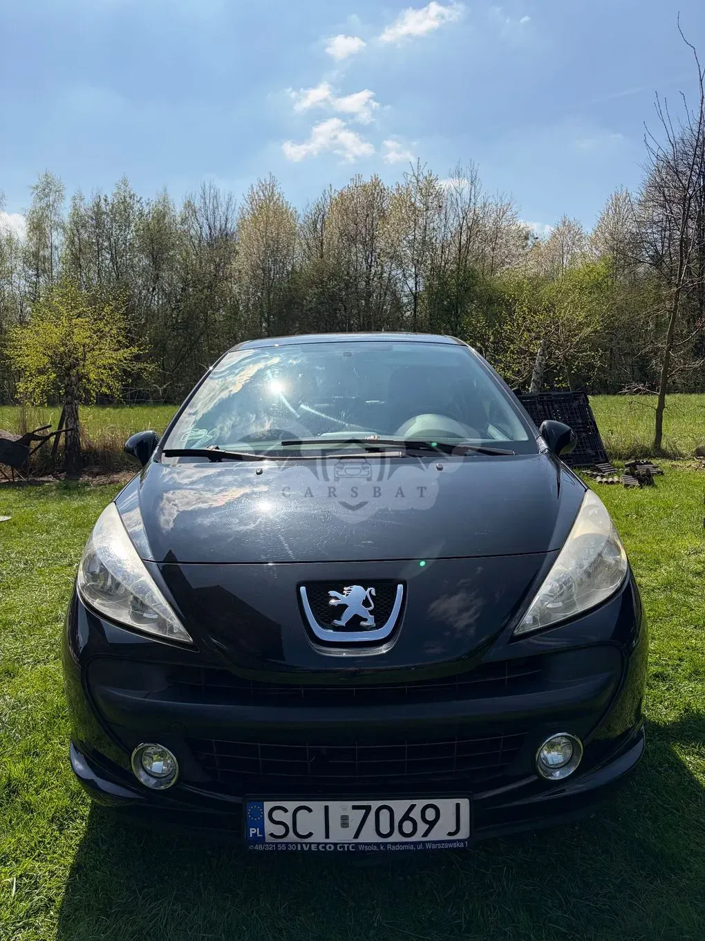 Peugeot 207 2009