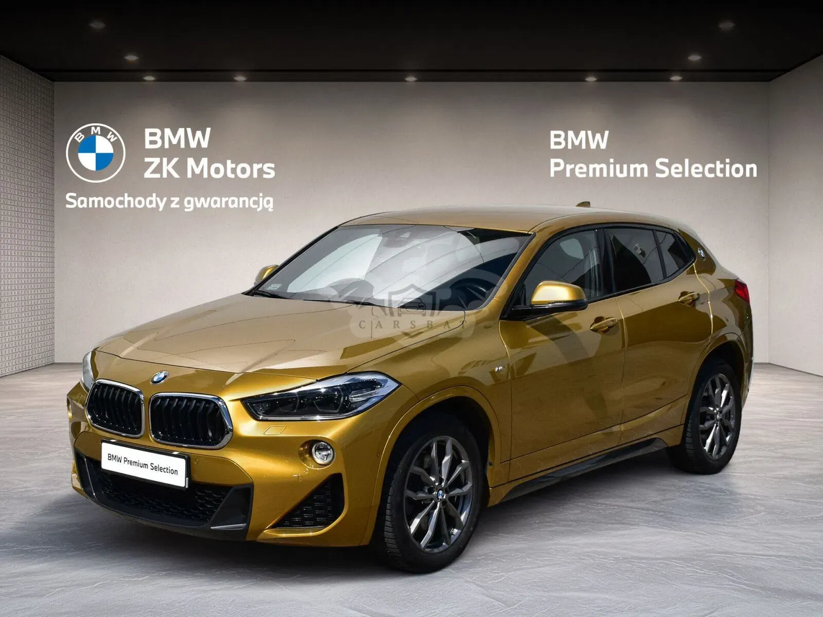 BMW X2 F39 2019