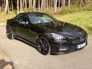 Mercedes-Benz SLK R172 350 (BlueEFFICIENCY) 7G-TRONIC CarbonLOOK Edition 2011