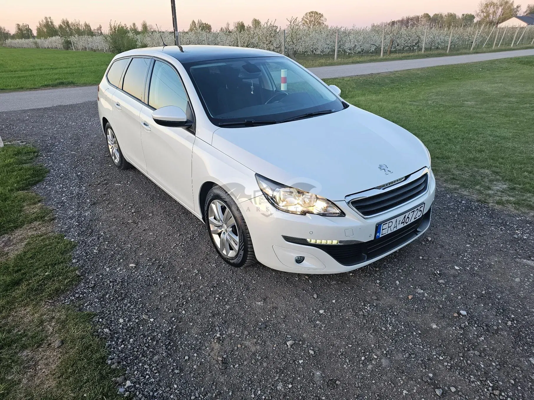 Peugeot 308 T9 2015
