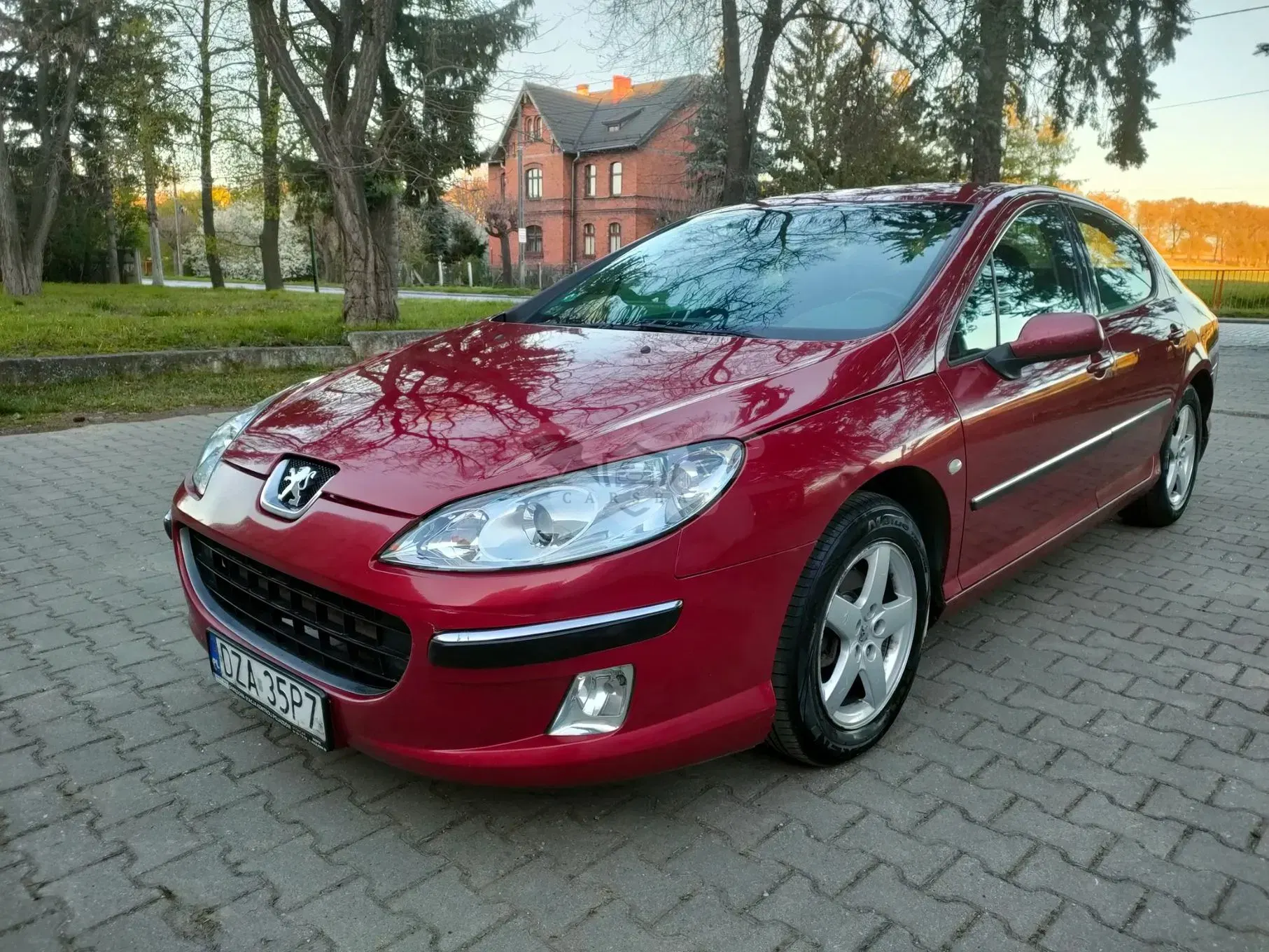 Peugeot 407 2.0 SV Executive 2004