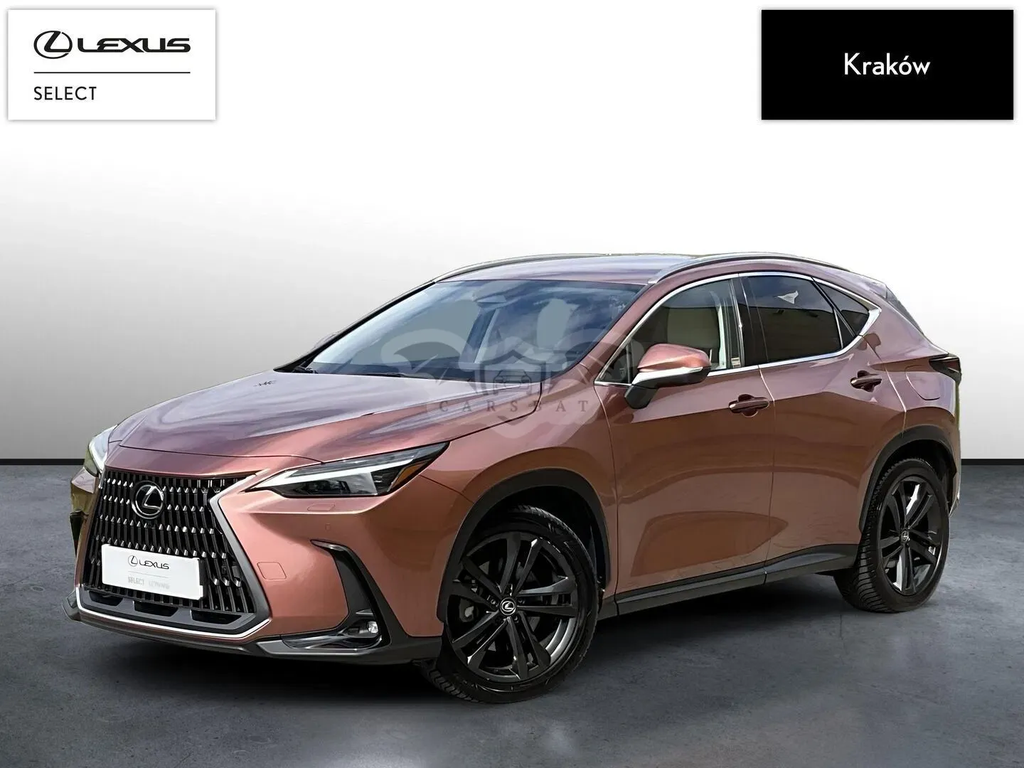 Lexus NX II 2024