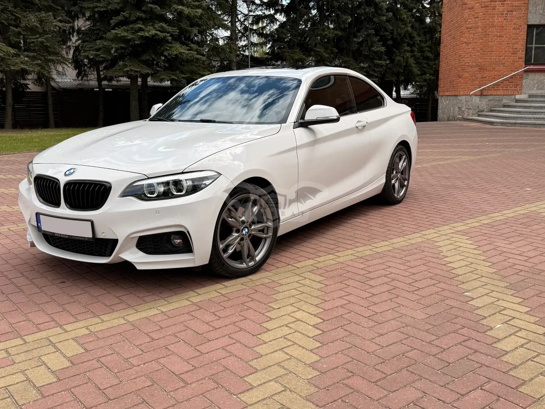 BMW 2 Series 230i Sport Line 2019