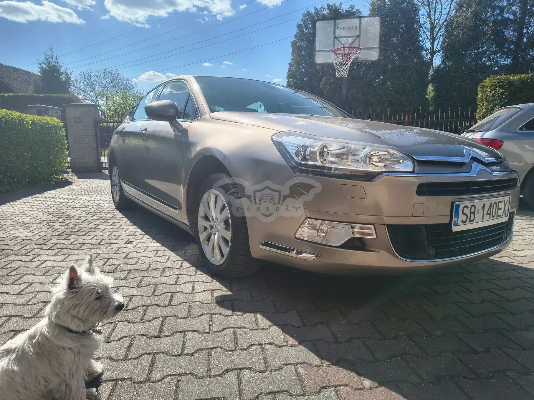 Citroën C5 III 1.6 e-HDi Seduction MCP 2013