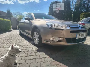 Citroën C5 III 1.6 e-HDi Seduction MCP 2013