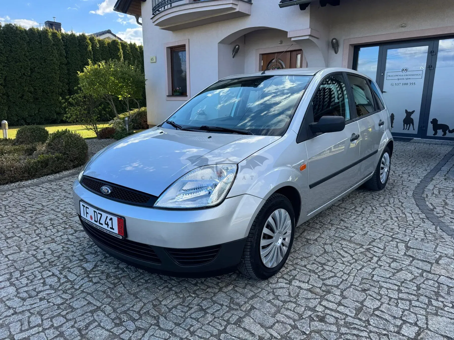 Ford Fiesta Mk6 1.4 Fun 2004