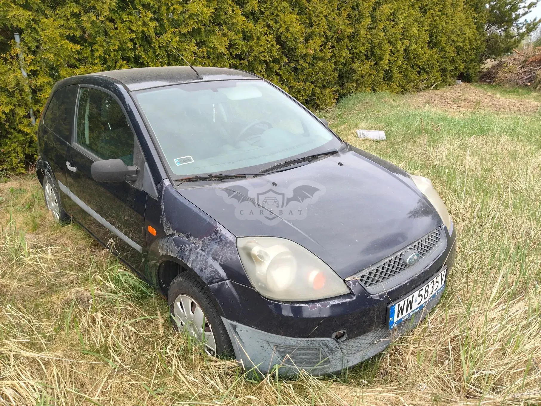 Ford Fiesta Mk6 1.3 2006