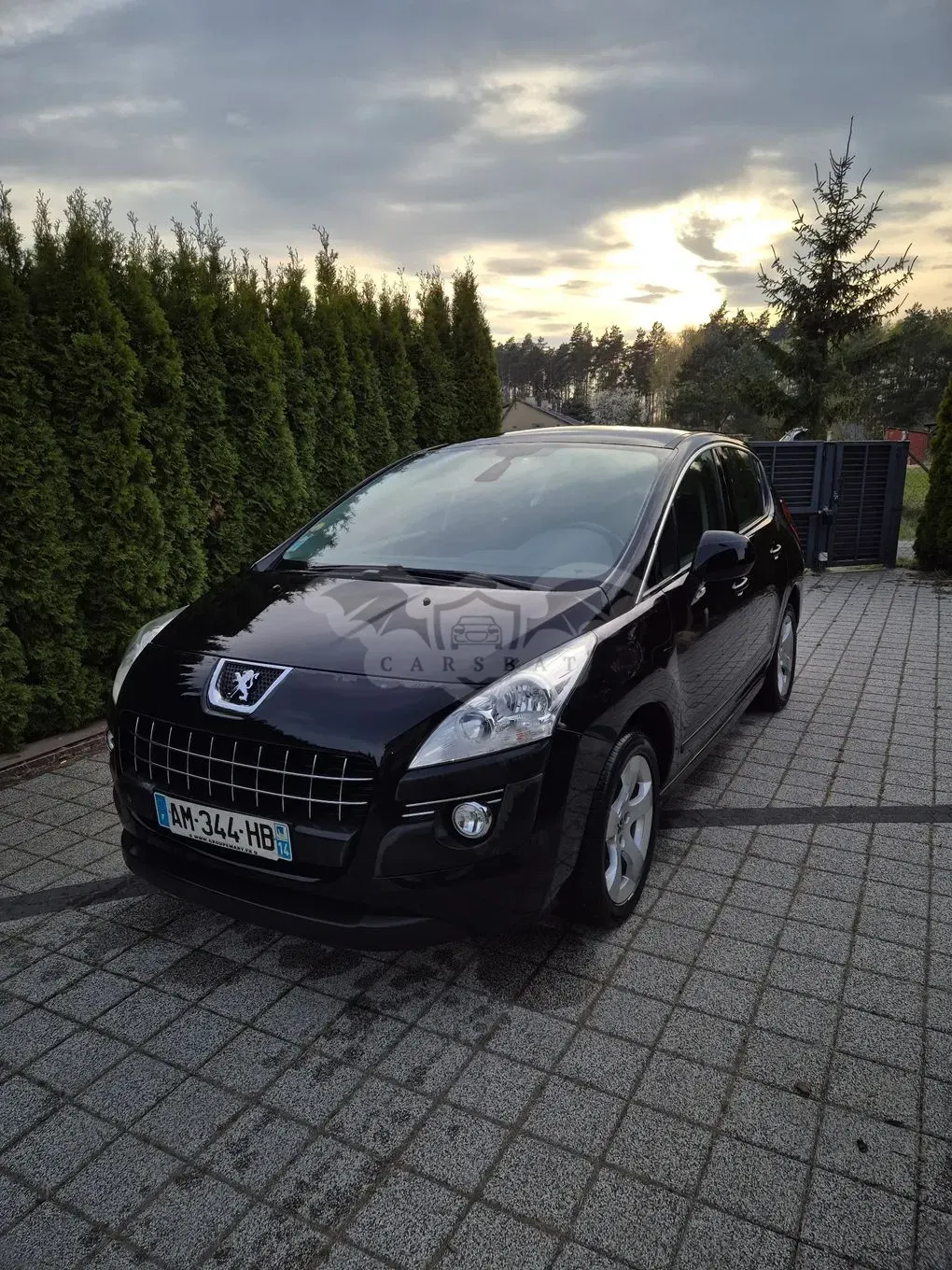 Peugeot 3008 I 2010