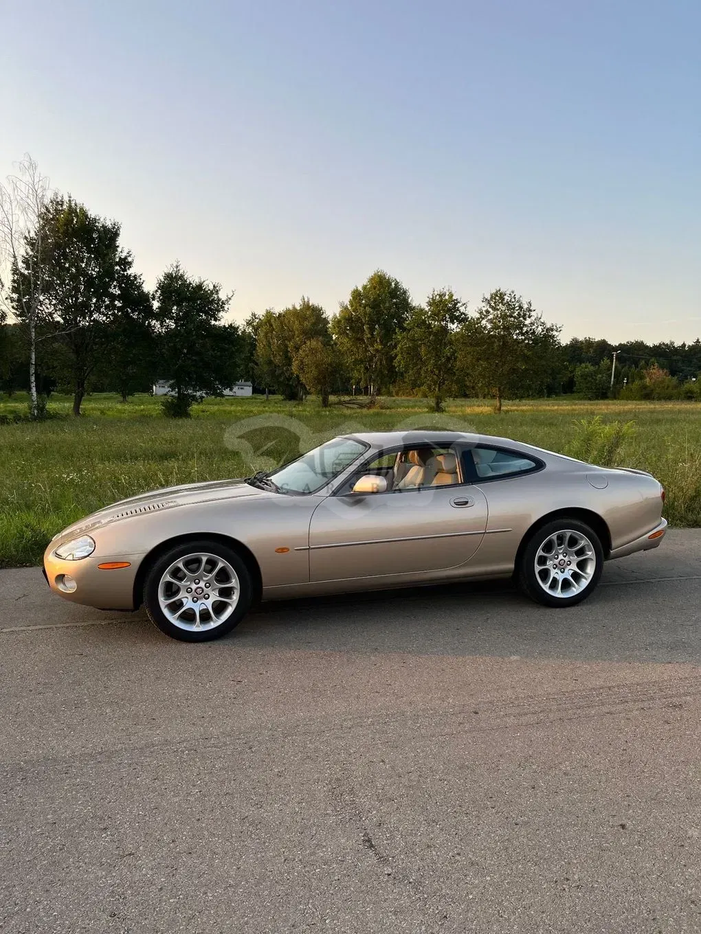 Jaguar XK 2001