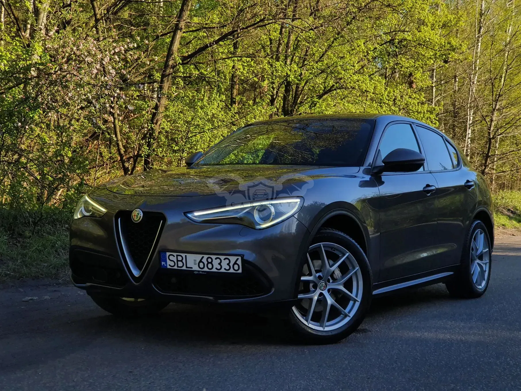 Alfa Romeo Stelvio 2.0 Turbo Q4 2017