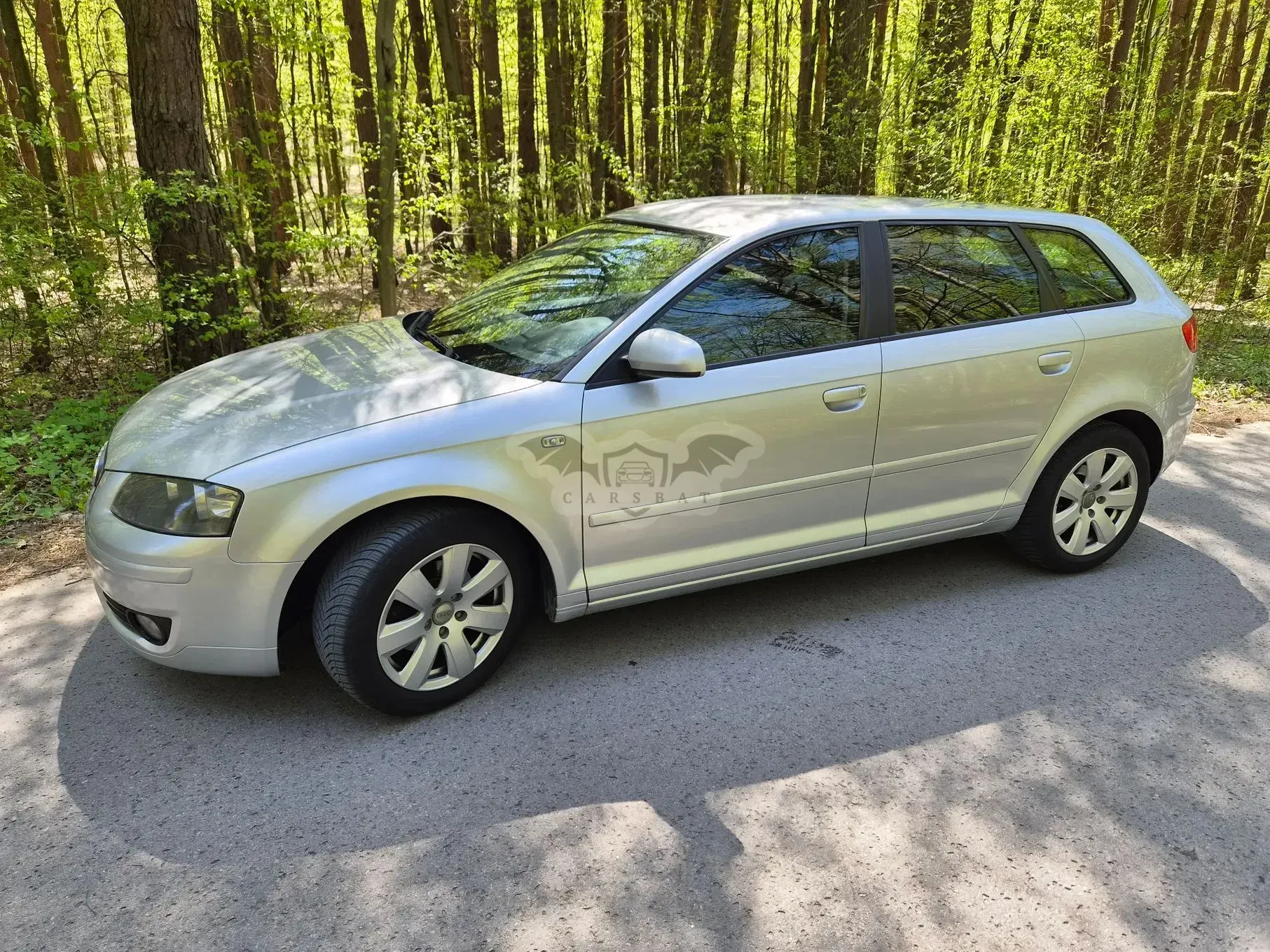 Audi A3 8P 1.9 TDI Ambiente 2007