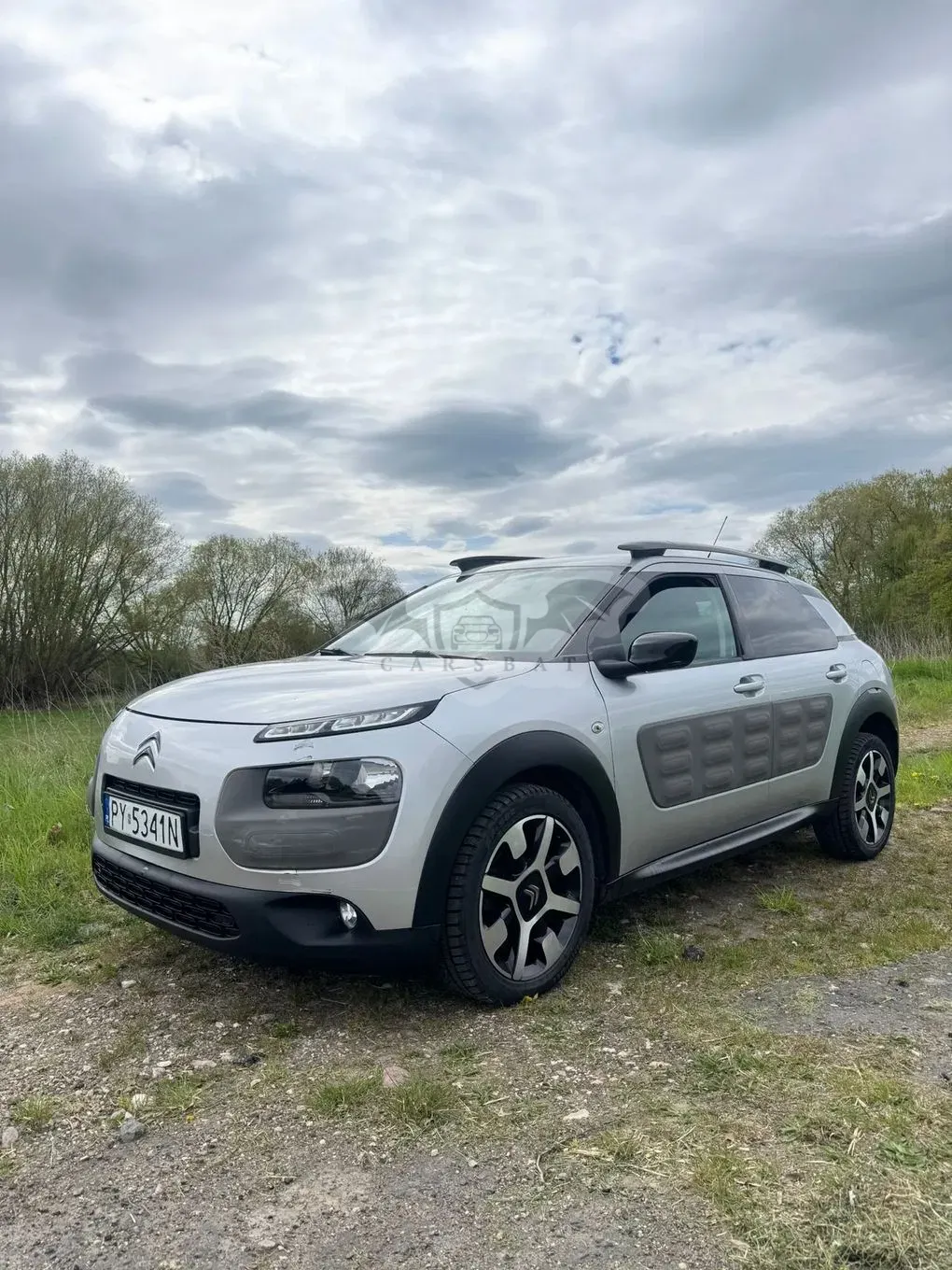 Citroën C4 Cactus 2015