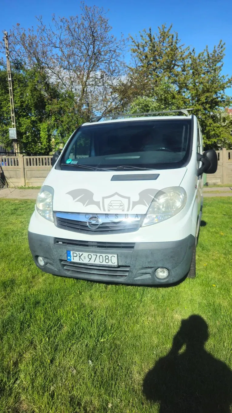 Opel Vivaro 2010