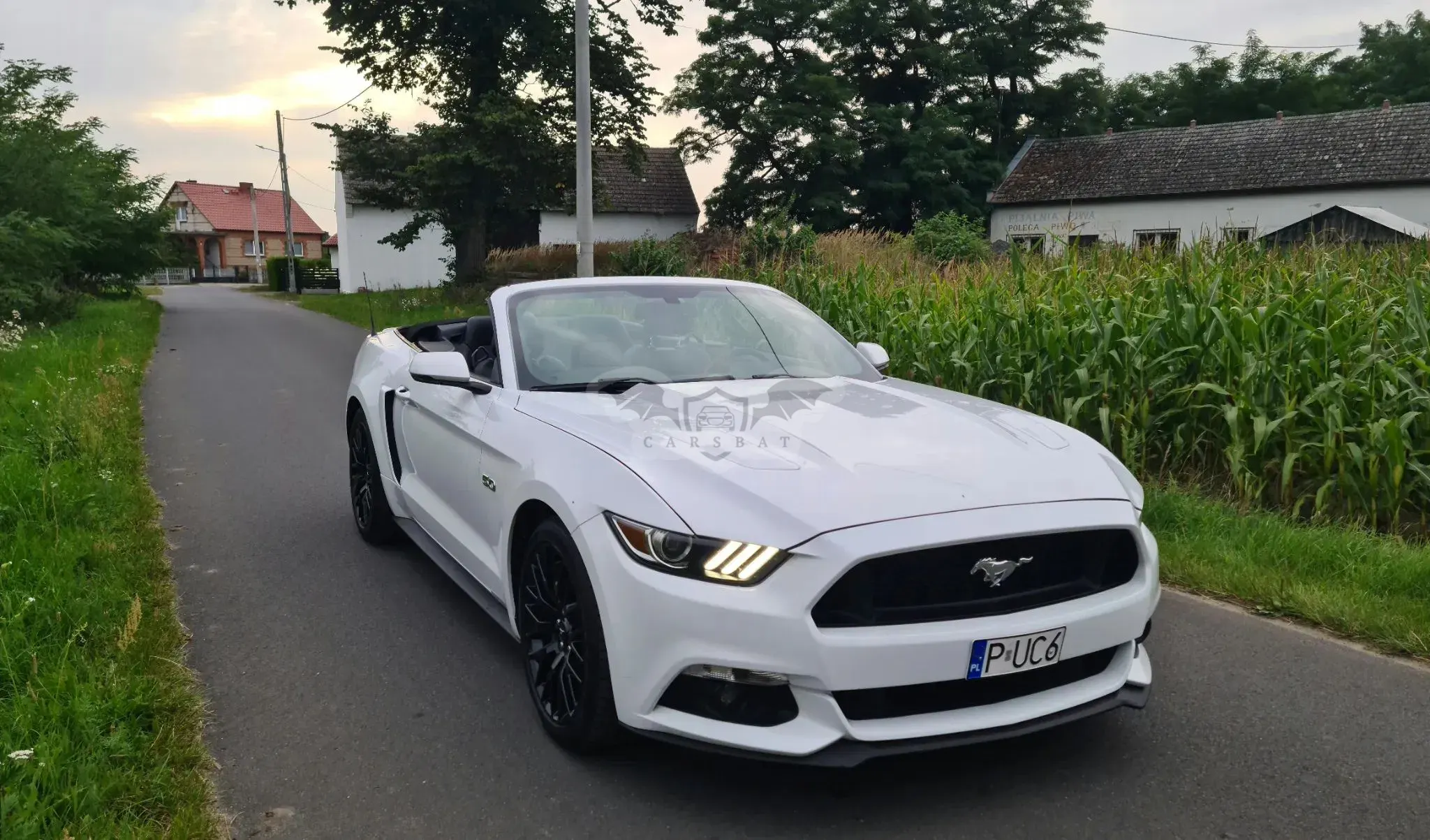 Ford Mustang 5.0 V8 GT 2015