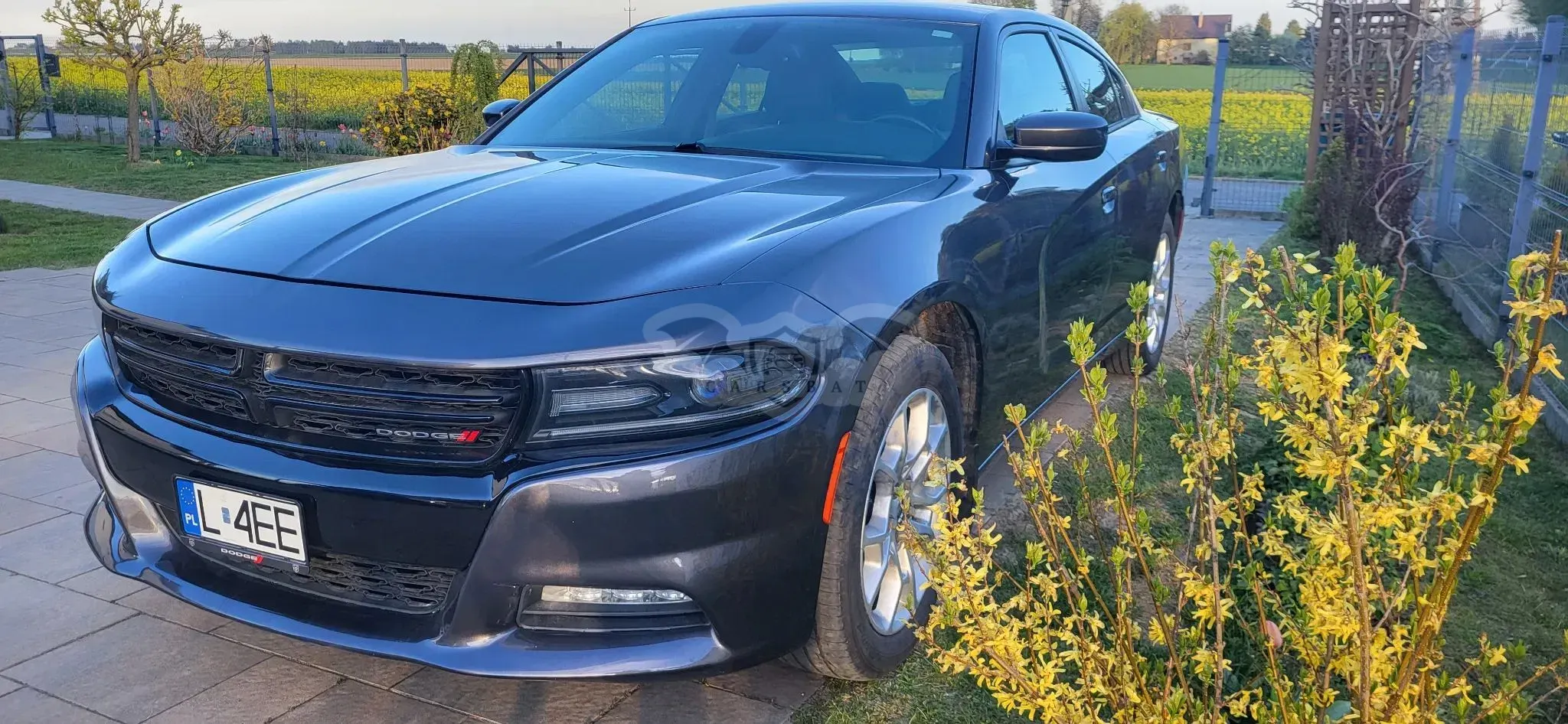 Dodge Charger 2016