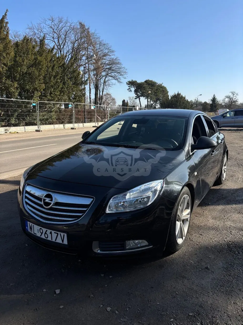 Opel Insignia A 2.0 CDTI ecoFLEX 2010