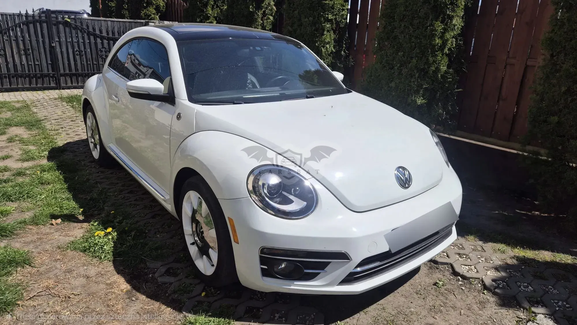 Volkswagen Beetle 2019