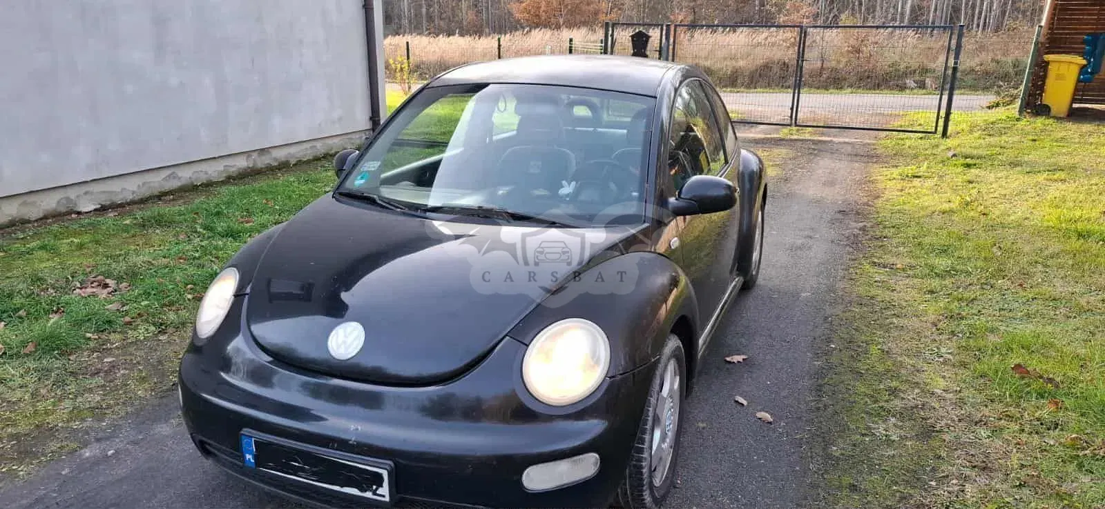 Volkswagen Beetle 2001