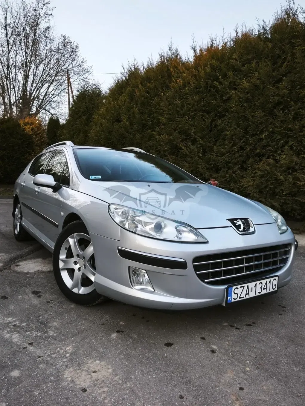 Peugeot 407 2.0 HDi Premium 2005